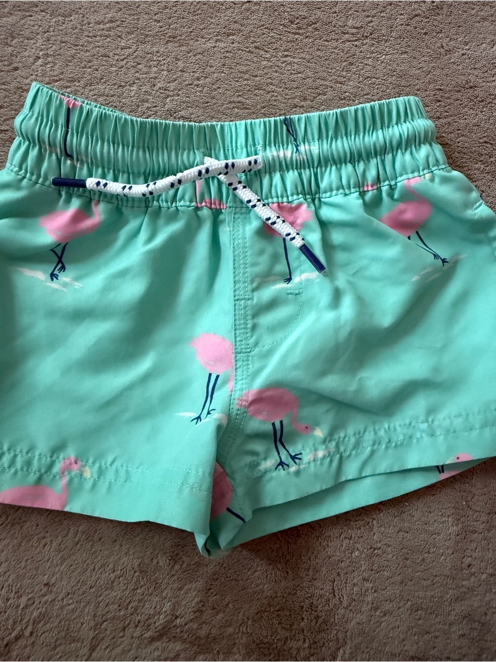 The Beaufort bonnet company Flamingo Swim Shorts